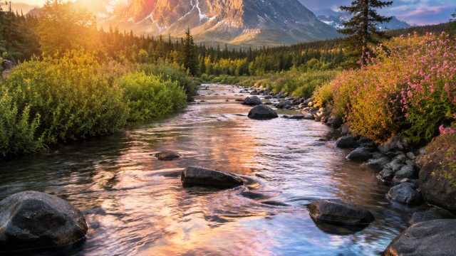 Top Trends in Photography and Wallpaper Design for 2024 | link slot, cherry poker machines, al nassr