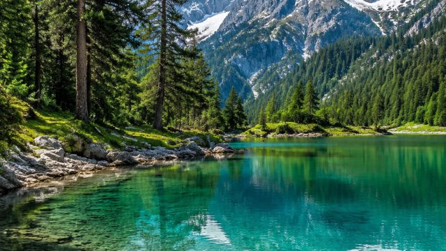 Unveiling a Digital Oasis: Serene Nature Wallpaper for Your Screens | xiaomi redmi note 3 pro vs not