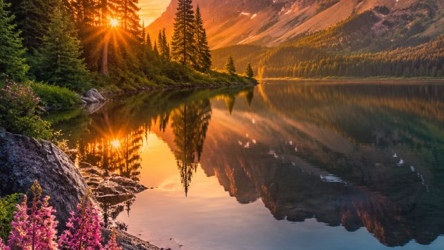 Captivating Serenity: Nature-Inspired Backgrounds for Every Screen | togel macau hari ini keluar 202