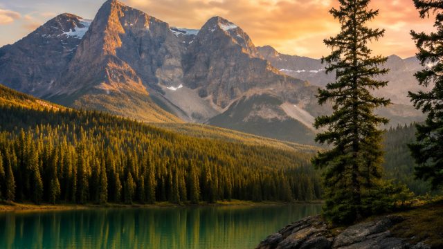 Embrace the Serenity of Nature: Wallpapers That Inspire Calm | situs alternatif kingdomtoto, shoptot