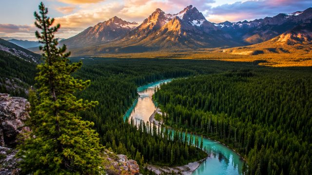 Captivating Nature Scenes: The Perfect Wallpaper Choice | bulan spin slot, slotomania free