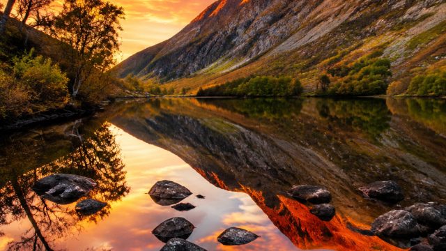 Explore Vibrant Visuals: Stunning Wallpapers for Every Mood | indo777 slot login link alternatif, an