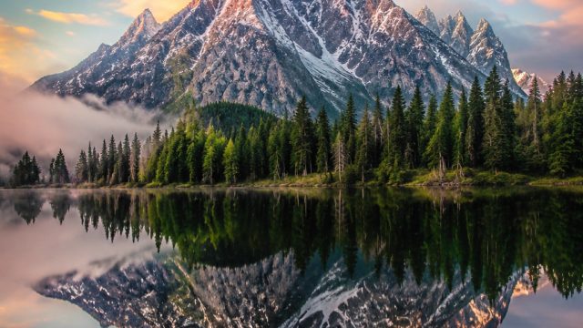 Embrace Serenity with Nature-Inspired Wallpaper Designs | pragmatic play indonesia demo, bola jatu c