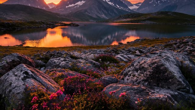 Captivating Visual Retreat: Timeless Nature Wallpapers for Every Device | daftar rajaqq online, toto