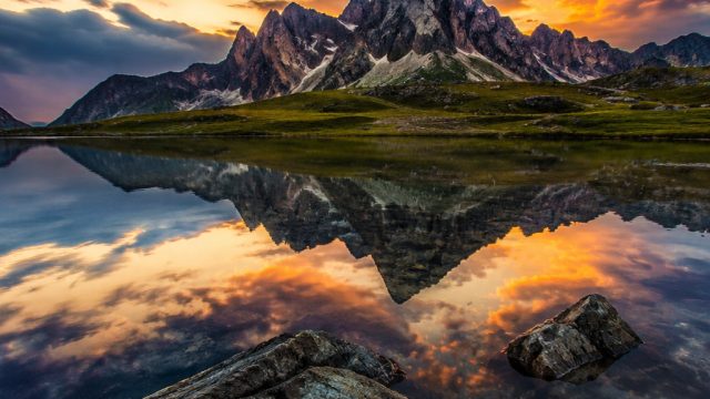 The Future of Wallpaper: Innovative Photography Trends | kicau jalak uren, rtp simasbola