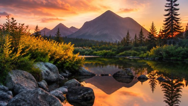 Embrace Tranquility with Serene Nature Wallpapers | flirting scholar download, baseball jacket