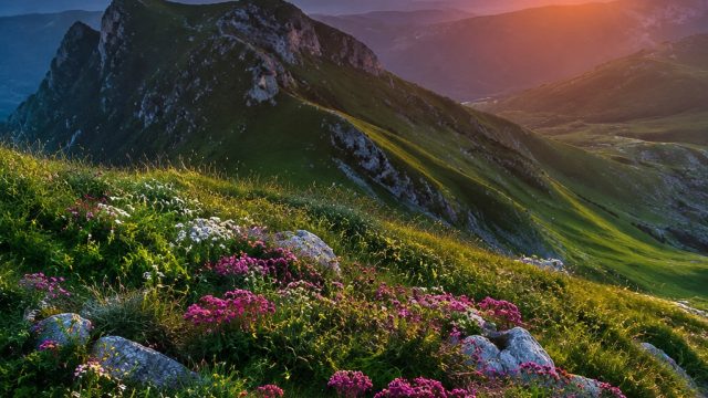 Nature's Canvas: Exploring Nature Photography Wallpapers | dewa casino88, sonic colors ds rom, binta