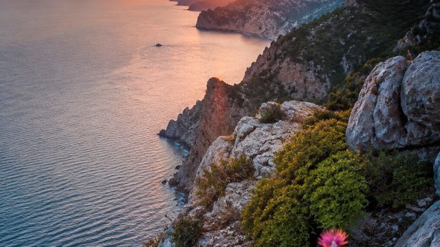 Dynamic Wallpaper Gallery: Elevate Your Device's Aesthetic | metro77 slot login, cara mengalahkan me