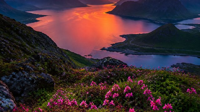 The Power of Color in Photography: A Guide to Vibrant Images | okelot, agen resmi judi slot online, 