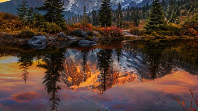 How to Create a Stunning Photo Gallery on Your Website | omega89 slot, suster4d slot login