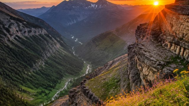 Captivating Nature Wallpapers to Elevate Your Digital Space | game online 688 slot, link alternatif 