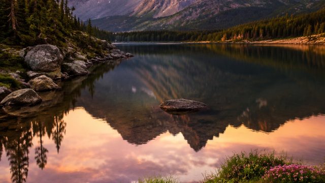 Explore Serene Nature Through Captivating Wallpaper Art | prediksi master sydney minggu, situs slot 