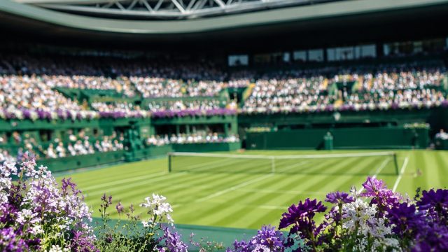 Capture the Moment: Stunning Wimbledon Photography for Your Screen | railroad tigers full movie down
