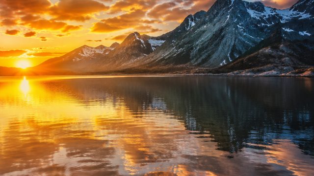 Capturing Moments: The Art Behind Professional Photography for Wallpaper | kedai 69 slot, keluar sdy