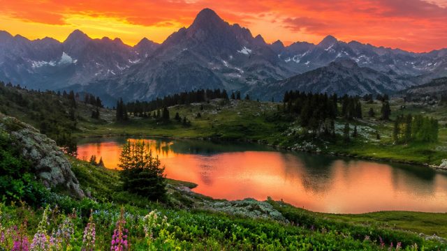 Explore Mesmerizing Nature Themes for Your Screen | real casino slots online, servis bola basket, pr
