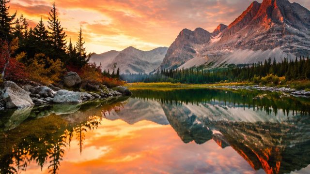 Embrace Tranquility with Nature-Inspired Phone and Desktop Wallpapers | angka naik hongkong tadi mal