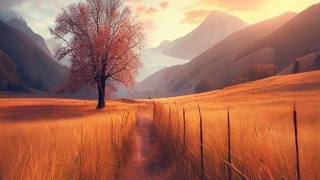 Emotional Landscapes: Love and Connection in Stunning Wallpapers | qq2288, situs stars 77