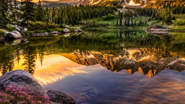 Elevate Your Space with Stunning Nature-Inspired Wallpapers | win 38 slot, daftar slot online pandor