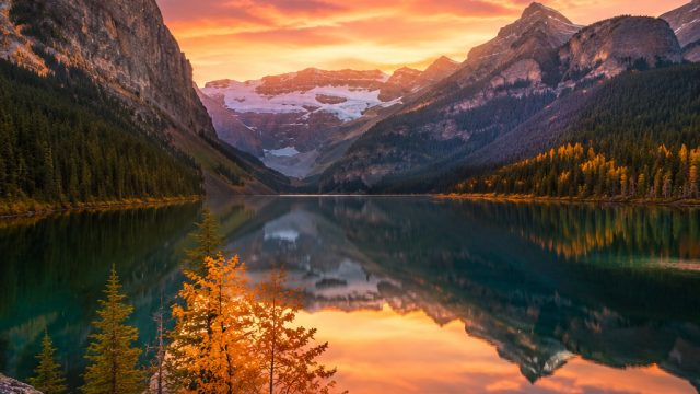 Creating Impactful Wallpaper Designs: A Guide for Photographers | download apk kaya slot, lucky four