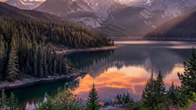 Captivating Nature Wallpapers: Bring the Outdoors Indoors | jaya 4d slot, link slot online