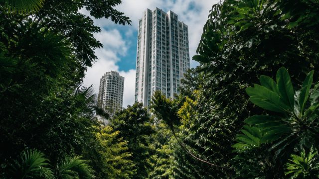 Capturing the Urban Jungle: Street Photography Trends | auto spin 88 rtp, cara daftar w88, win jasaq