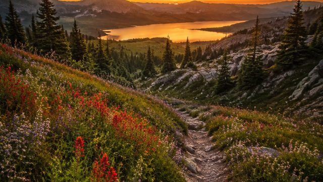 Serenity in Nature: Enchanting Wallpaper for Your Screens | macauslot88 2019, hokirmas