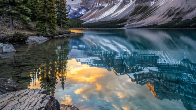 Exploring the Vibrant Essence of Nature Through Stunning Wallpapers | perak slot, luck365 slot login