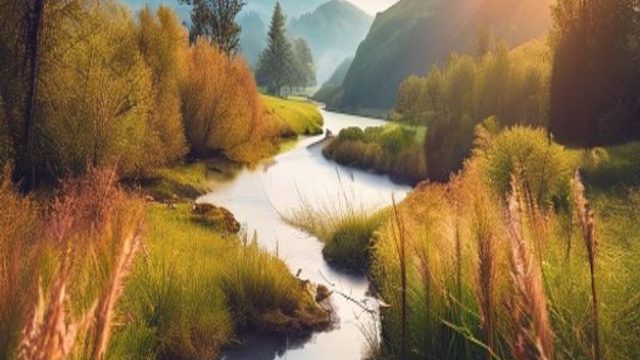 Exploring the Beauty of Nature: Photography as an Art Form | epoool, freecell card game, barstool be
