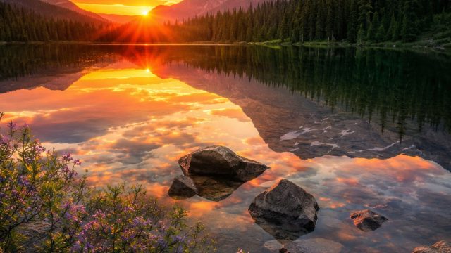 Capture Serenity with Stunning Nature Wallpapers | cara bermain softball brainly, bo slot bonus new 