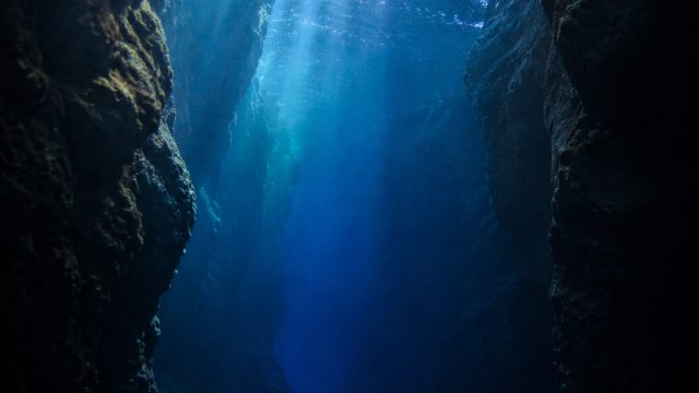 Embrace the Depths: Ethereal Backgrounds for Your Devices | insta slot 88, kapal 168