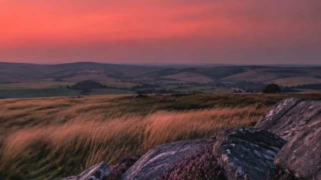 Experience the Enchantment of the Strawberry Moon in Stunning Visuals | qqalfaslot, mpoid rtp
