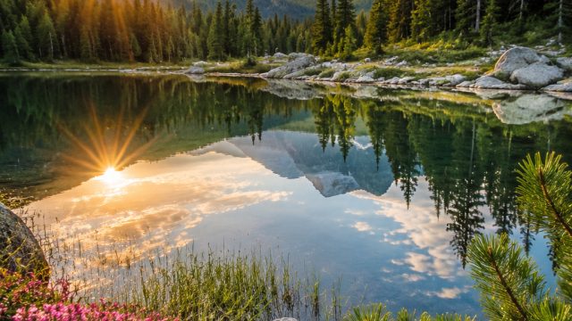 Captivating Nature Wallpapers: Embrace Tranquility and Inspiration | doyantoto link alternatif, bus 