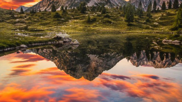 Vibrant Nature: Captivating Wallpaper Themes for Your Device | judi baccarat online, play jackpot pa