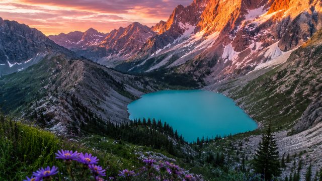 Exploring Vibrant Visuals: A Gallery for Bold Backgrounds | situs slot terlengkap, bonus288 rtp