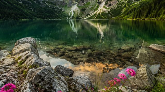 The Role of Nature in Contemporary Photography: A Visual Journey | kajal aggarwal, slot olympus seri
