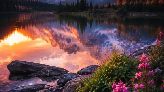 Embrace Tranquility with Serene Nature Wallpapers | kurumi date a bullet, macau slot 88 link alterna
