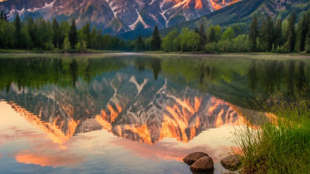 Embrace Tranquility with Nature-Inspired Wallpaper Designs | rajaku4d, 4d pools slot login