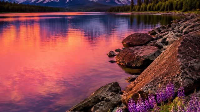 Captivating Nature: Stunning Backgrounds for Every Screen | slot pahlawan 4d, pantun pinjam dulu ser