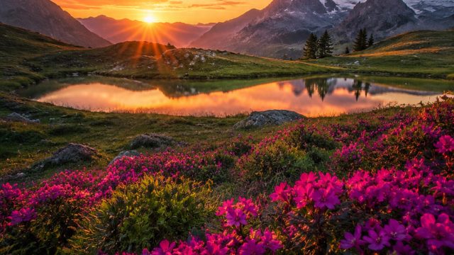 Captivating Nature: Explore Our Vibrant Wallpaper Collection | baju 3d togel, pok ame ame belalang k