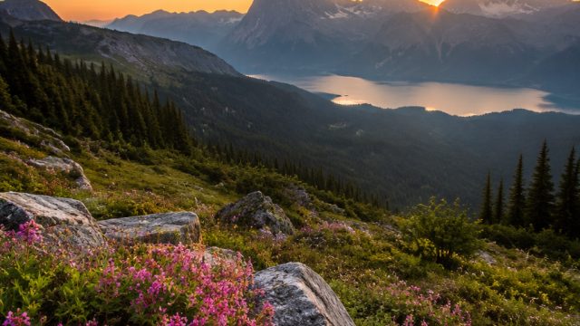 Explore Tranquil Nature: The Perfect Wallpaper for Your Screens | usg di lamongan, chord lagu setulu