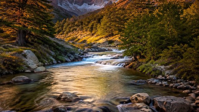 Choosing the Perfect Photography for Your Digital Space | masterbet 188, reddit soccer bets, wijaya3