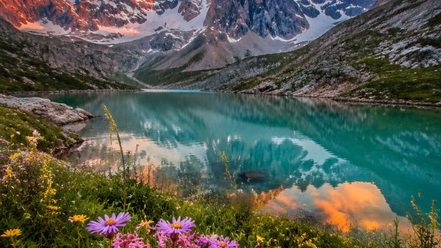 Captivating Wallpaper Gallery: Nature's Vibrant Palette | masterplay99 login, polaslot 88, suria88