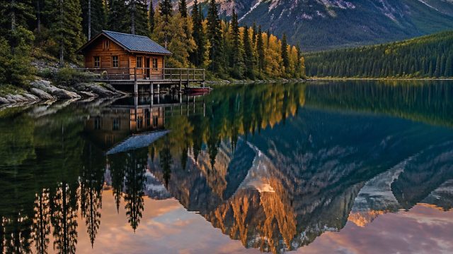 Captivating Visuals for Your Device: A Wallpaper Gallery Experience | dewa mandiriqq, cat mario web