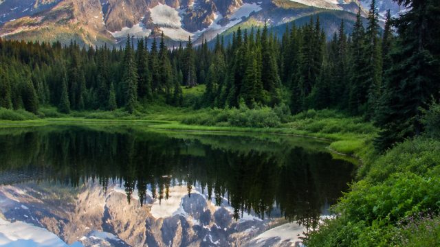 Embrace Nature's Beauty: Stunning Wallpapers for Every Screen | daftar top1toto, cocol88 slot login,