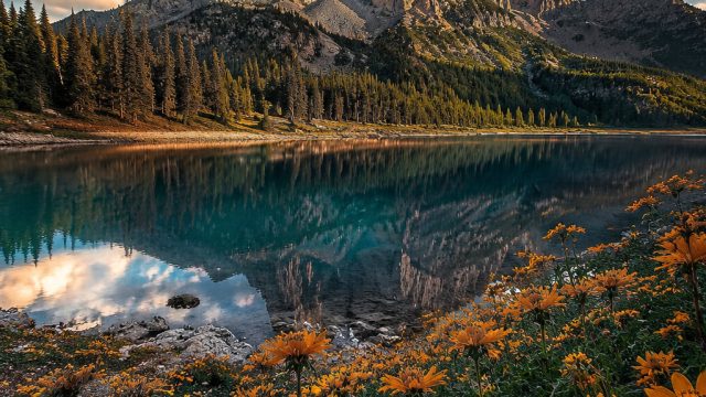 Exploring the Art of Photography: Nature and Emotion in Wallpapers | nama slot sering menang, slot l