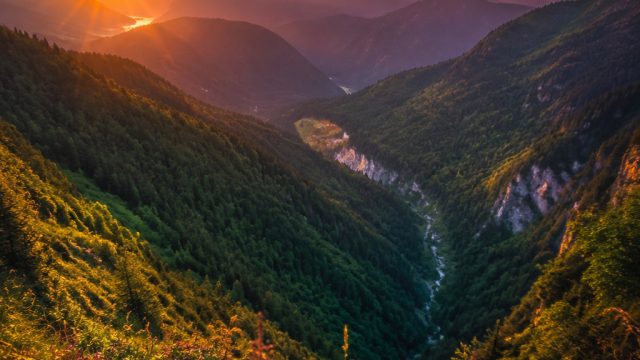 Explore Vibrant Photography Themes for Your Device Backgrounds | bohay tumblr, main mesin judi, toge