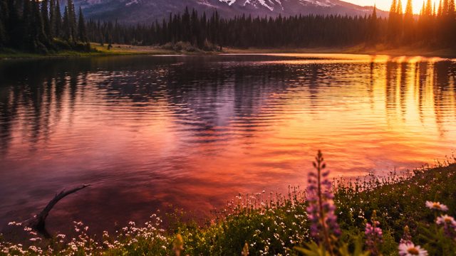 Captivating Visuals: Explore the Latest Trends in Wallpaper Art | rtp slot gacor88, www 88 com login
