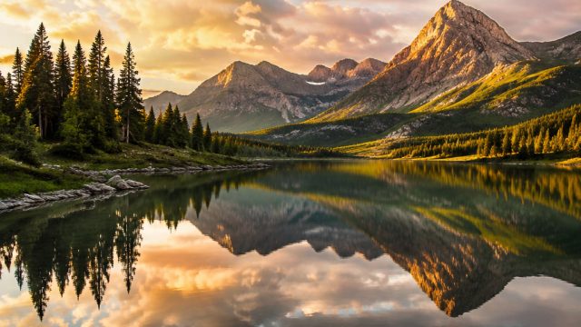 Designing with Nature: The Role of Natural Imagery in Home Decor | card game io, seru123, vegas888 s