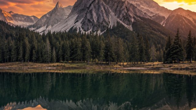 Dynamic Visuals: Elevate Your Screen with Stunning Wallpapers | 77slot casino, saga33 slot