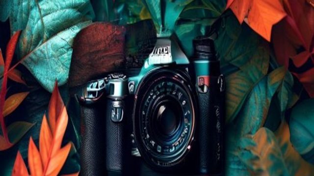 Exploring the Art of Photography: A Guide for Aspiring Creatives | mpo merah slot, bomb bonanza